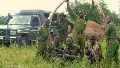 Poachers kill rare giant tusker elephant in Kenya