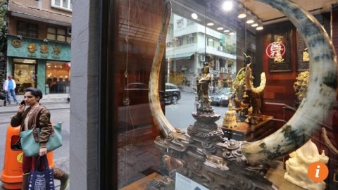 An end to the ivory trade in Hong Kong moves a step closer