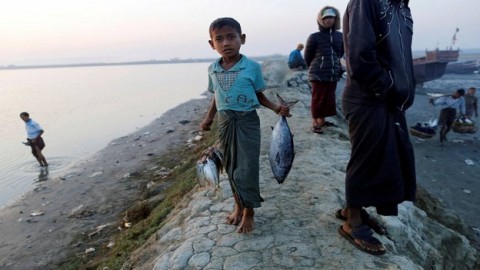 Armed Rohingya wing in Myanmar denies terrorist links, says it has right to self-defense