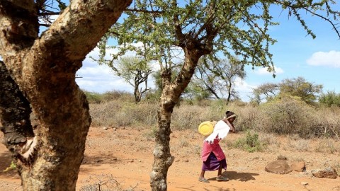Millions are on the brink of starvation in east Africa. We must act fast