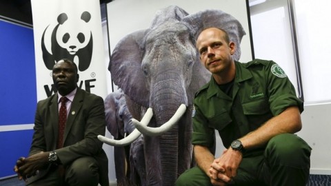 Wildlife crime expert appeals to Hong Kong government to ban ivory trade, pointing to Chinese traders as major brokers