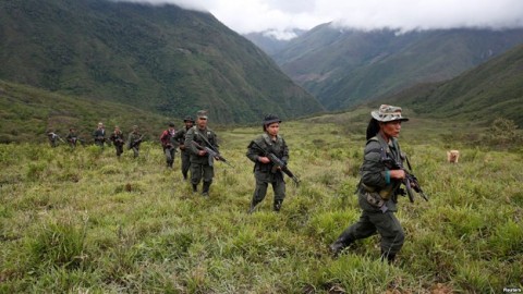 As Colombia's FARC disarms, rebels enlisted to fight deforestation