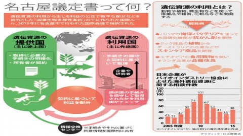 批准名古屋協議書 將成為維護生態系的契機