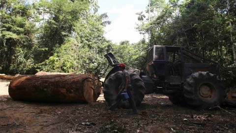 Environmentalists in Brazil blame government for Amazon land violence