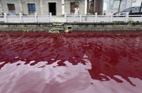 全球的水處理公司關注中國的水質污染