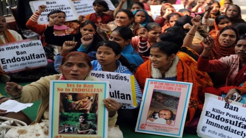 Thirteen Bangladeshi children died from controversial insecticide only recently banned by US