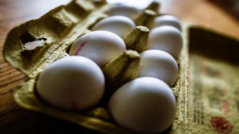 Belgium admits it knew about contaminated Dutch eggs back in June