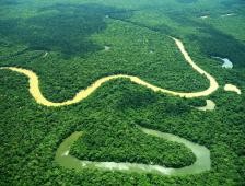 Los proyectos serán ejecutados a través del programa Visión Amazonía.