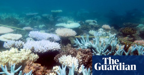 15 of the G20 nations reported emissions rises in 2017, finds Climate Transparency. Only India was on course to stay below the 2C warming limit. Photo: Mia Hoogenboom/ARC Centre of Excellence for Coral Reef Studies