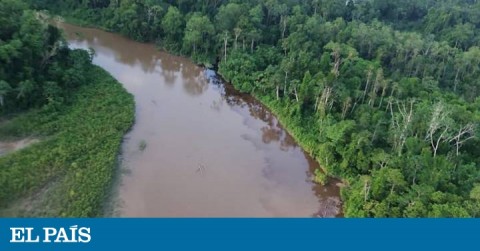 Morona zone in the Peruvian Amazon, affected by oil spills