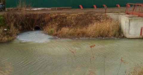 俄羅斯新庫班斯克市的水源遭受到污染，當地居民決定自行開始調查汙染的起因。