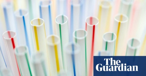 Plastic straws. Hinds said reducing plastic use was ‘clearly an important and timely issue’. Photo: Hayoung Jeon/EPA