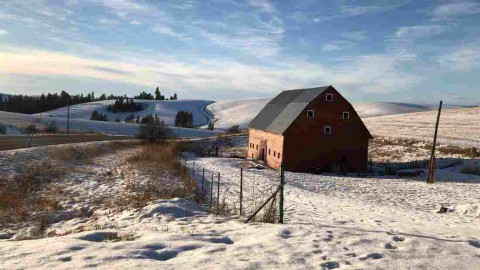 Snow-covered farm fields roll out outside Kendrick, Idaho. Farmers are stumped on what to plant this coming spring, as many of their traditional dryland crops are priced below the cost of production right now. Photo: Anna King/Northwest News Network