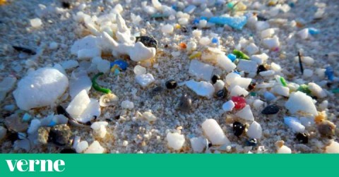 Microplásticos, un problema ambiental convertido en la palabra del año para Fundéu en 2018
