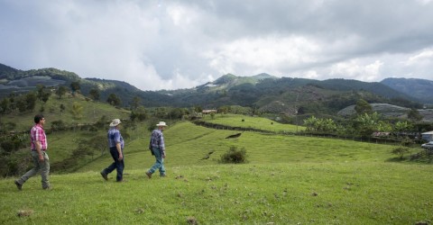 En Palocabildo, un corregimiento de Jericó, los campesinos se oponen a que funcione la mina Quebradona. Aseguran que su vocación económica es agrícola y turística.