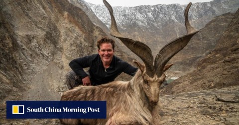 A hunter identified as Bryan Kinsel Harlan poses with his kill, a rare wild Astore markhor, in Pakistan.