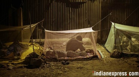 印度的貧困問題-論政府針對貧困問題所實施的社會福利政策/社論