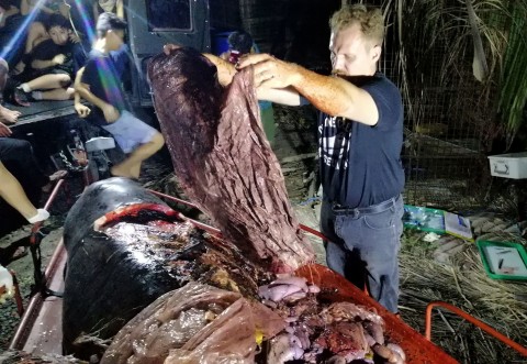 菲律賓民答那峨島的海上發現一條因吞食超過40公斤塑膠垃圾而死亡的鯨魚。海洋生物專家指出，菲律賓是世界上塑料污染嚴重程度第二名的國家，未來10年的塑料垃圾會急劇增加，突顯海洋生物的潛在危害。