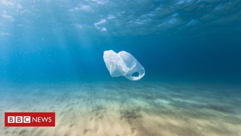 世界海洋中的塑料污染是一個日益嚴重的問題