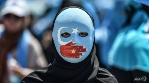 Demonstrators have rallied in Turkey over the plight of China's ethnic minorities 