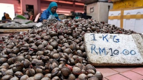 Scientists have warned against consuming too much shellfish from the Straits of Malacca after high concentrations of heavy metals were detected in the waters during a scientific voyage.