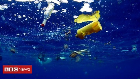 Early ocean plastic traced to 1960s