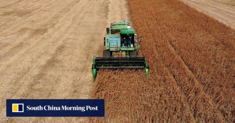 農民Mark Catterton駕駛John Deere Harvester在2018年10月19日在馬里蘭州Owings的秋季收穫期間收穫大豆