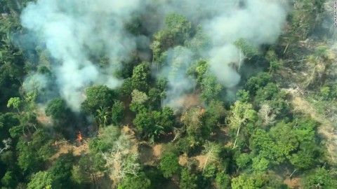 Flying above the Amazon fires, "all you can see is death"