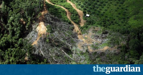 Alarm as study reveals world’s tropical forests are huge carbon emission source