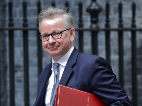 Michael Gove blames the EU for deaths of birds, bees and weekly bin collections