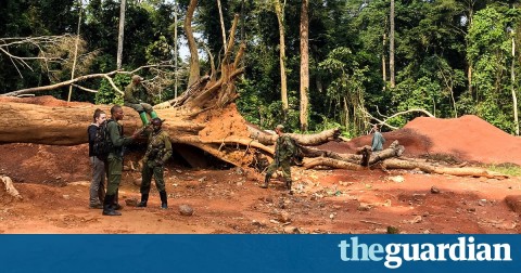 The day we witnessed wildlife rangers being gunned down in Congo