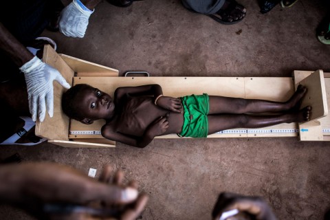 Millions face starvation in Democratic Republic of Congo, UN warns