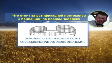 反對人士：烏克蘭總統Poroshenko現在才批准「公民與政治權利國際公約」及「經濟社會文化權利國際公約」，實在為時已晚。
