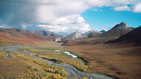 Senate May Approve Drilling In Alaskan Wilderness With Tax Bill