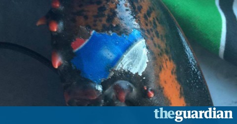 Lobster found with Pepsi logo 'tattoo' fuels fears over ocean litter