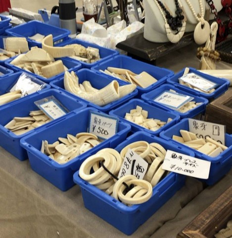Ivory products on sale with price tags at an antiques fairs June 24 in Tokyo. | AP