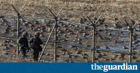 Second North Korean soldier in weeks defects to South, say reports