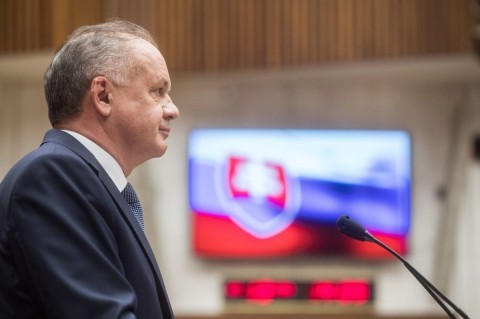 斯洛伐克國會議員不同意總統Kiska競選款項來源，反對者認為總統Kiska執行公職人員職務時違反了關於保護公共利益的憲法法。