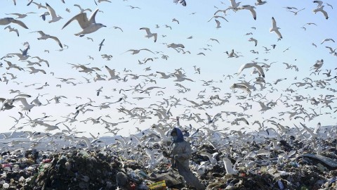 中國不再是「世界上最大的垃圾掩埋場」 - 日本的塑膠垃圾何去何從?