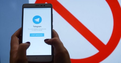 ЕСПЧ зарегистрировал жалобу на блокировку Telegram в России, поданную журналистом Александром Плющевым/ Informtime.com