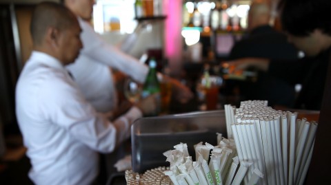 Plastic straws in a holder atop a bar counter. Photo: Justin Sullivan / Getty Images