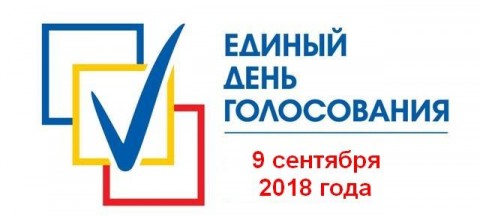 俄羅斯的選舉/ РТЛабс