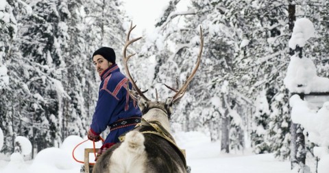 Photo: Tessa Bunney/Getty Images