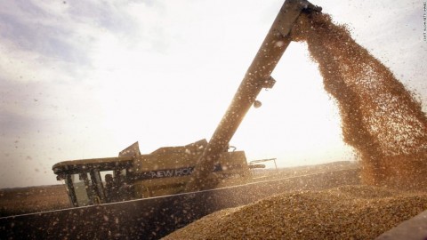 美中貿易戰 中國對美國國產大豆課徵報復性關稅 反而可能打到中國農民