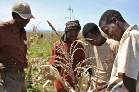 Razack Munboadan, senior manager with Karuturi, which has four commercial farms in Ethiopia, talks to workers at a farm in Bako, Central Ethiopia, on Nov. 6, 2009. Photo: Reuters file