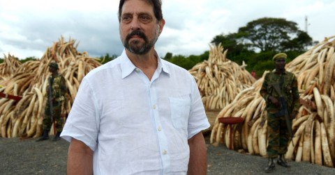 Some of the thousands of tusks set ablaze in Kenya in April 2016 were sampled for forensic analysis by Dr. Samuel Wasser and his team. Photo: Kate Brooks/The Last Animals