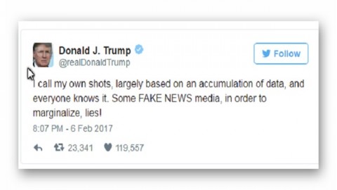 Trump: All polls showing bad news are 'fake news'